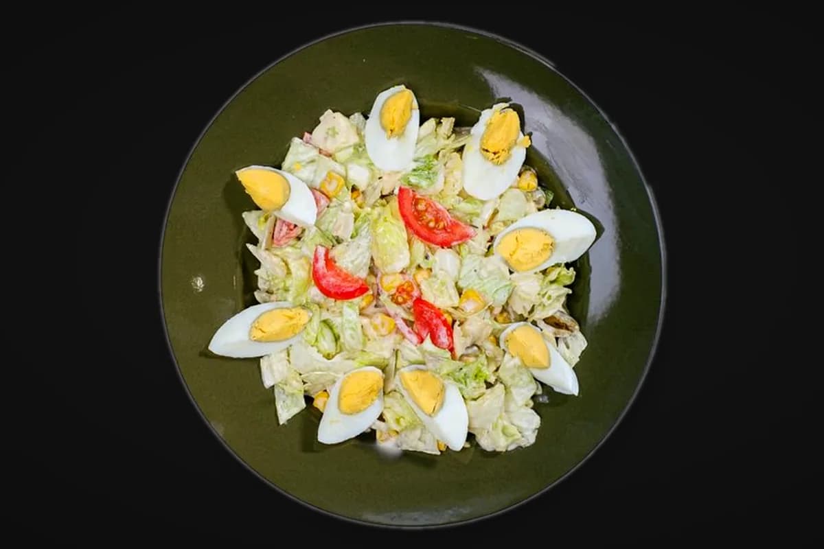 Light&Fit